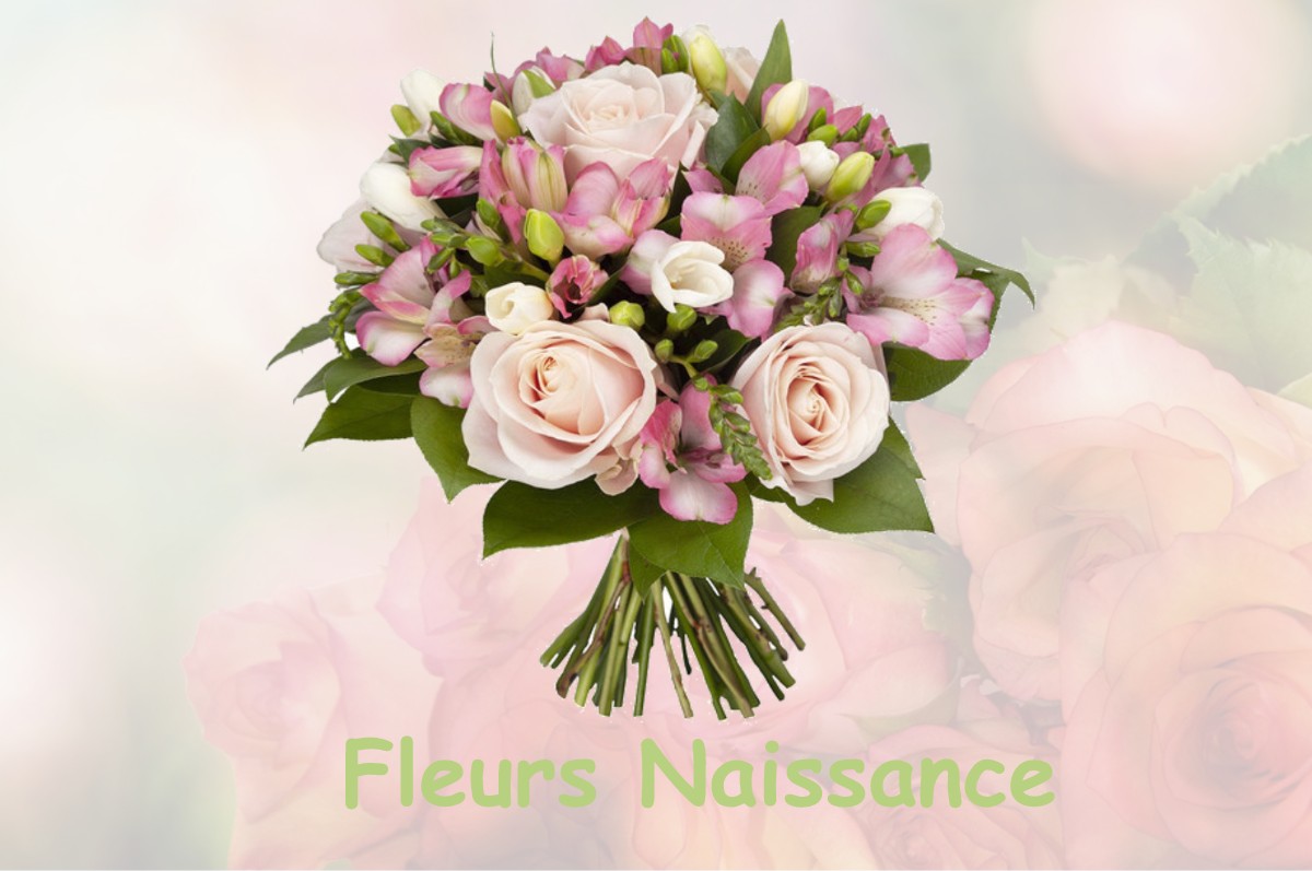 fleurs naissance MONTEGUT-BOURJAC