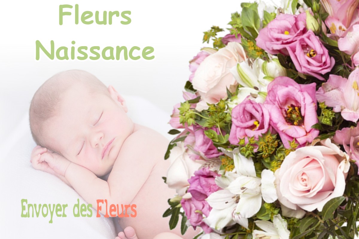 lIVRAISON FLEURS NAISSANCE à MONTEGUT-BOURJAC